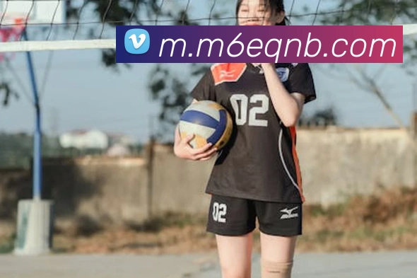 米乐m6平台生态图